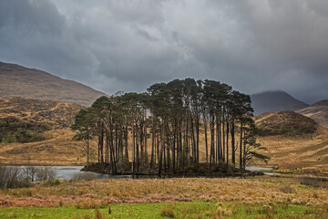 Trees on lake surrounded by highlands, Scotland