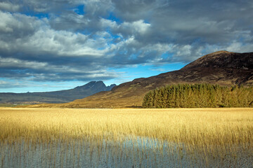 Scenic view sunny marsh and hills, Loch Carron, Wester Ross, Scotland