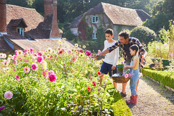 Family picking flowers in sunny garden