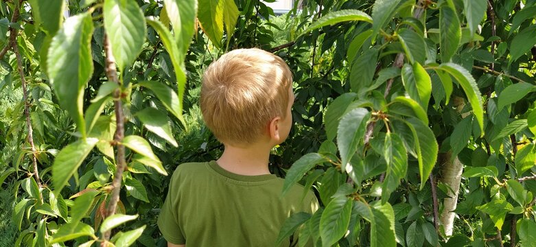 The boy pisses in the bushes. A child in a green T-shirt on a background of green bushes. Directing urination in a public place. Urinary incontinence or bad manners