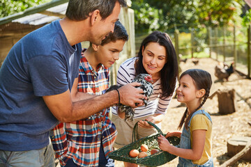 Family harvesting fresh eggs from chicken outside coop