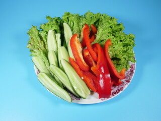 fresh vegetables on a plate, pepper, salad and cucumber