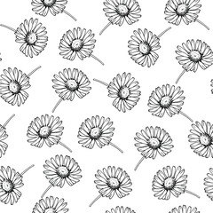 Vector hand drawn  floral pattern with small daisies, black and white illustration.