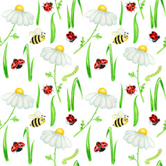 Watercolor daisy chamomile flower seamless pattern with fly ladybug, bee illustration. Hand drawn botanical herbs on white background. White flowers, buds, stems, grass. Wild botanical garden bloom