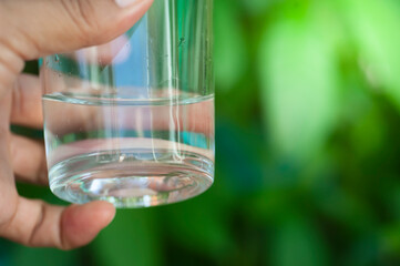 drinking water glass in hand with green leaf blur background