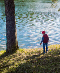 A boy in a red vest and a red cap is standing on the lake. Pine grows on the left. There are a lot...