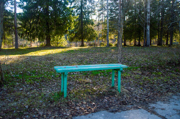 A bench without a back is standing in the forest.