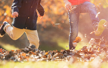 Playful boys kicking autumn leaves