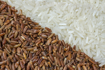 Food background with two rows of rice varieties: brown rice and white rice.