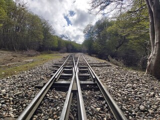 Fototapeta premium railway in the woods