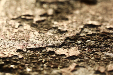 peeling paint on a concrete wall of a building.