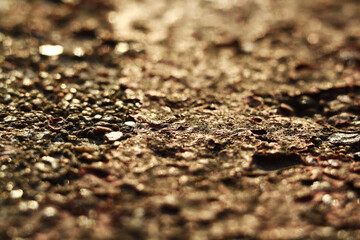 peeling paint on a concrete wall of a building.