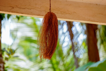 odapoovu hanging on a roof of the house in kerala.
Odapoovu is the one of its kind souvenir from Kottiyoor Temple during the festival in June