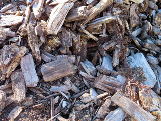 Copeaux de bois