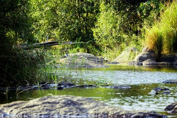 Obraz premium Kerala tourism - rocks in a stream at kuruwa island 