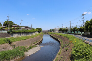Fototapeta na wymiar 境川（神奈川県大和市）