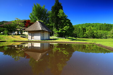 Fototapeta premium 新緑の山口の水車小屋