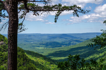 mountain landscape with trees and clouds