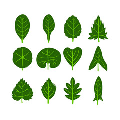Obraz premium Set of Simple Vector a Leaf in Green