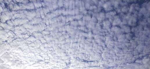 dark blue background