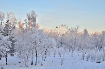 Trees covered with hoarfrost in the first rays of the sun