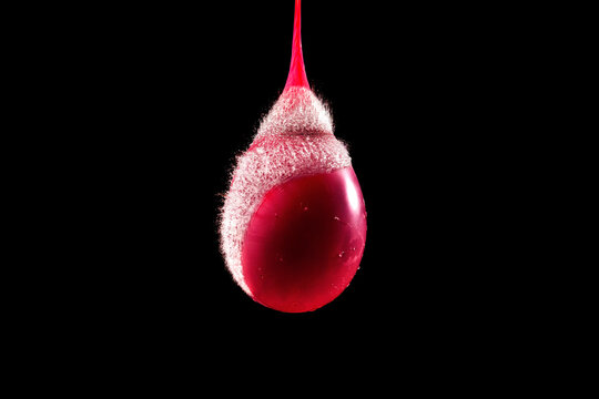 Water balloon explosion