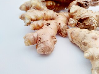 Bitter ginger with white background. Bitter ginger also called Zingiber zerumbet, awapuhi, shampoo ginger, lempuyang and pinecone ginger. Used as food flavoring and appetizers in various cuisines food