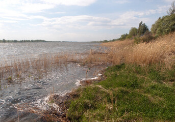Fototapeta na wymiar Spring high water on the Irtysh River