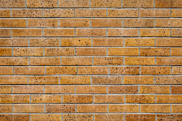 Brown Brick Wall with Black Spots