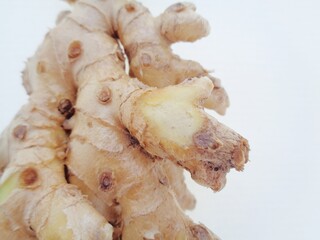 Bitter ginger with white background. Bitter ginger also called Zingiber zerumbet, awapuhi, shampoo ginger, lempuyang and pinecone ginger. Used as food flavoring and appetizers in various cuisines food