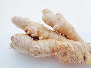 Bitter ginger with white background. Bitter ginger also called Zingiber zerumbet, awapuhi, shampoo ginger, lempuyang and pinecone ginger. Used as food flavoring and appetizers in various cuisines food