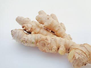Bitter ginger with white background. Bitter ginger also called Zingiber zerumbet, awapuhi, shampoo ginger, lempuyang and pinecone ginger. Used as food flavoring and appetizers in various cuisines food
