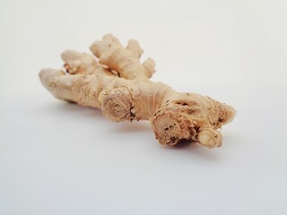Bitter ginger with white background. Bitter ginger also called Zingiber zerumbet, awapuhi, shampoo ginger, lempuyang and pinecone ginger. Used as food flavoring and appetizers in various cuisines food