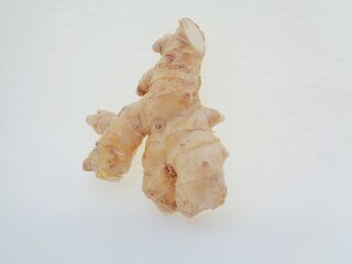 Bitter ginger with white background. Bitter ginger also called Zingiber zerumbet, awapuhi, shampoo ginger, lempuyang and pinecone ginger. Used as food flavoring and appetizers in various cuisines food