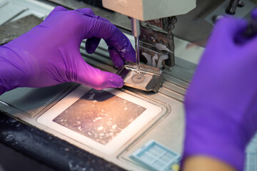 Medical technologists are preparing pathological specimens for diagnosis.