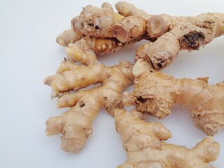 Bitter ginger with white background. Bitter ginger also called Zingiber zerumbet, awapuhi, shampoo ginger, lempuyang and pinecone ginger. Used as food flavoring and appetizers in various cuisines food