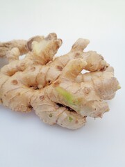 Bitter ginger with white background. Bitter ginger also called Zingiber zerumbet, awapuhi, shampoo ginger, lempuyang and pinecone ginger. Used as food flavoring and appetizers in various cuisines food