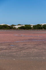 Pink salt lakes at Point Sinclair, South Australia