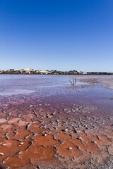 Pink salt lakes at Point Sinclair, South Australia