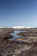 Fototapeta na wymiar Sand dunes and salt lakes at point Sinclair, South Australia