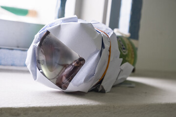 A cockroach trapped inside a transparent letter.