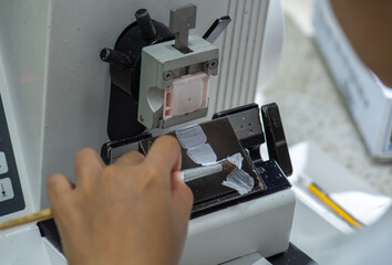 Medical technologists are preparing pathological specimens for diagnosis.