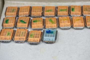 Medical technologists are preparing pathological specimens for diagnosis.