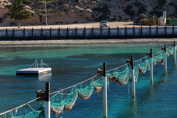 The shark nets at Point Sinclair in South Australia, known for Great White Sharks. 