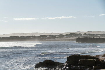 The surf and bay at Cactus Beach, World renown surfing spot, South Australia