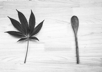 hand drawn vector illustration of a brush