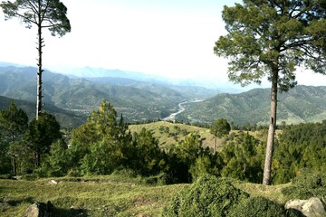 mountain landscape with trees and clouds