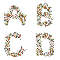 A,B,C,D. letters from the floral alphabet on a white background