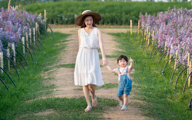 Naklejka na ściany i meble Asian mom with her son in a flowering field of margaret.