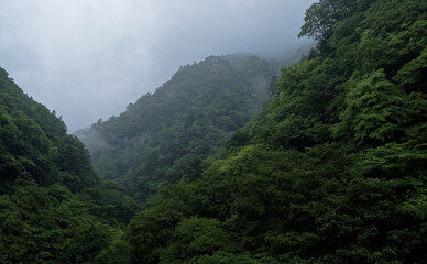 Fototapeta na wymiar Steep forested mountains rising into mist and a low overcast sky